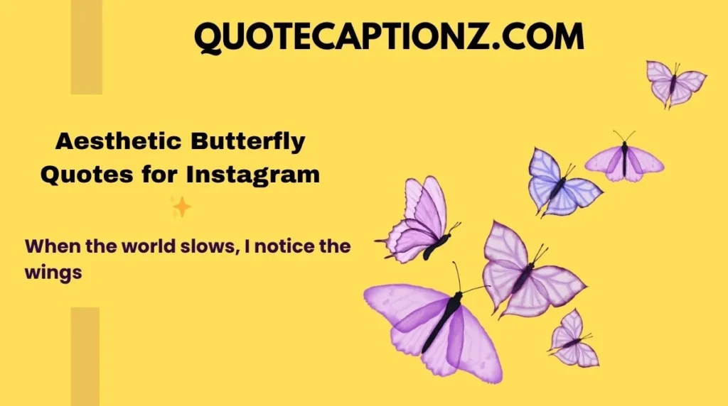 Aesthetic Butterfly Quotes for Instagram ✨