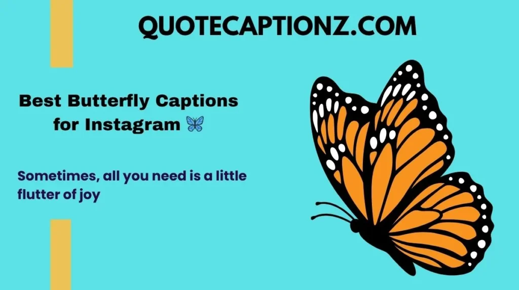 Best Butterfly Captions for Instagram 🦋
