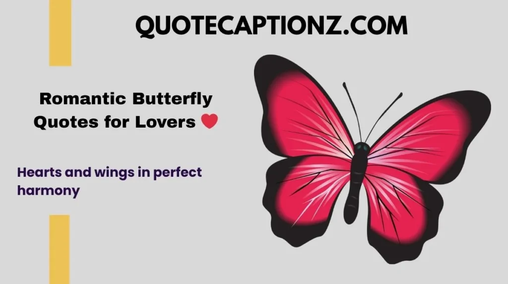 Romantic Butterfly Quotes for Lovers ❤️