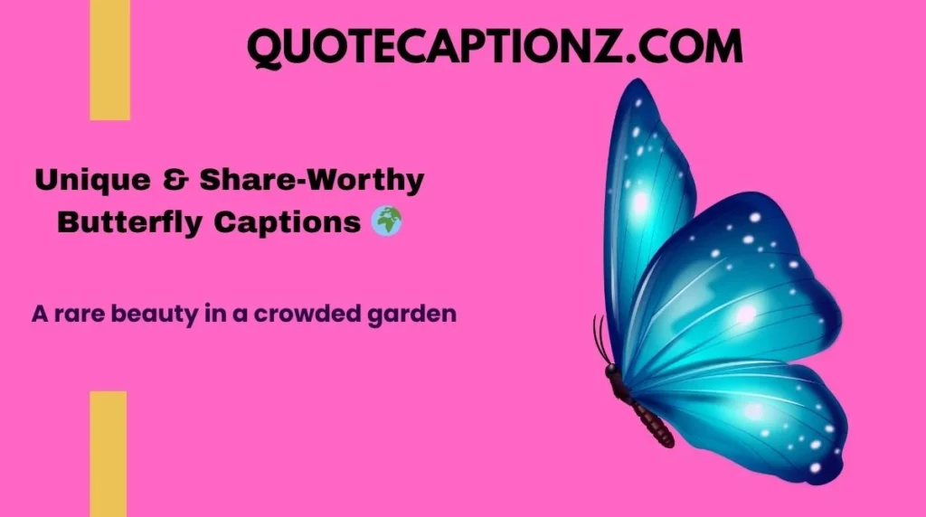 Unique & Share-Worthy Butterfly Captions 🌍